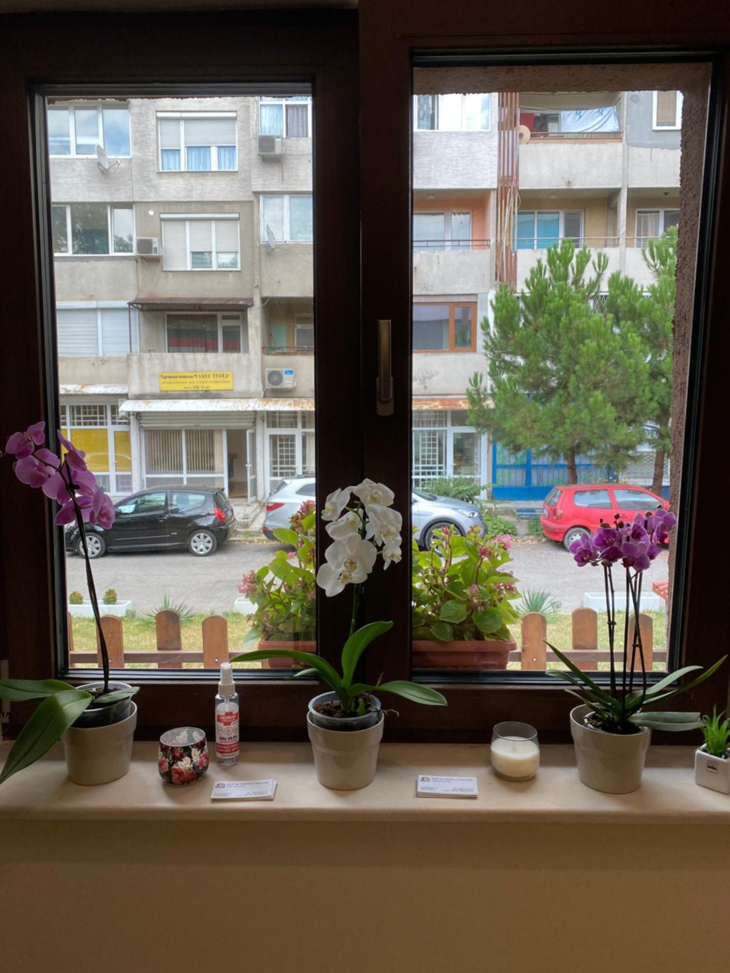 Hotel Sofia Family House - Free Parking Exterior foto